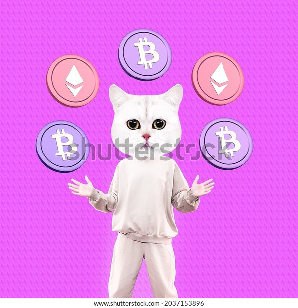 Pai Go
