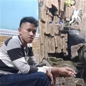 Tỷ lệ 