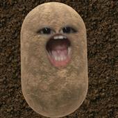 Rock V