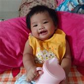 Lịch t