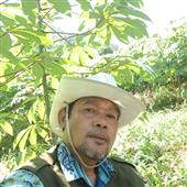 Cung h