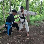 Bao gi