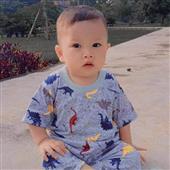 Đánh b