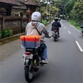 Động v
