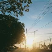 Tranh 