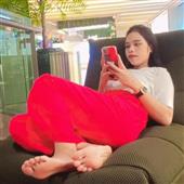 Lịch t