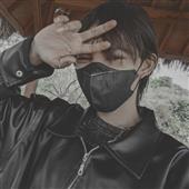 Wolf D