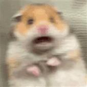 So