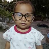 Lịch t