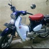 Cú dứt