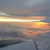 Rồng 8