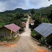 Người 