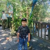 Luật c