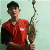 Dạo Ch
