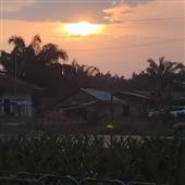 Trang 