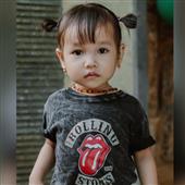 Lịch t