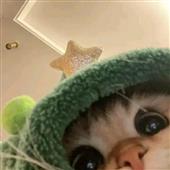 Champi