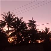 Hộ