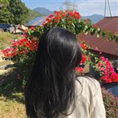 Nhà Củ