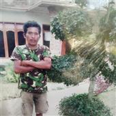 Lịch t