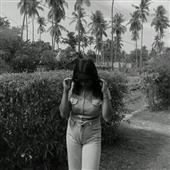 Vũ Trụ