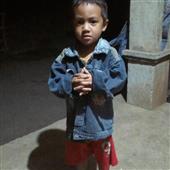 Trực t