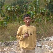 Cricke