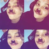 Lịch t