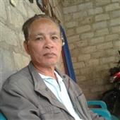 Bài há