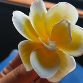 May mắ