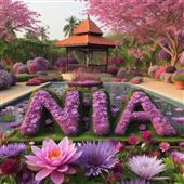 VUA TH