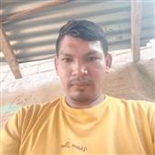 Bàn bó