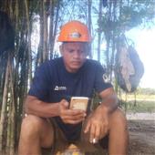 Tiền M