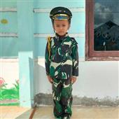 Nhà cú