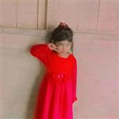 Số liệ