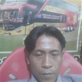 Bướm n