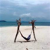 Trang 