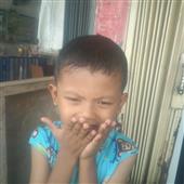 NGỰA M