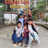 Cá cượ