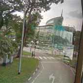 NGỰA M