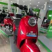 Trực t