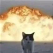 Trái C