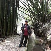 Kiếm t