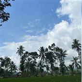 Vận mệ