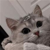 Đường 