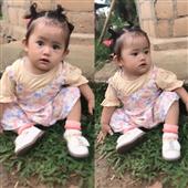 Kỳ Qua