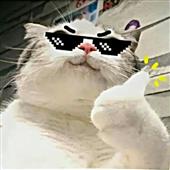 Làm gì