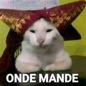 Các tr