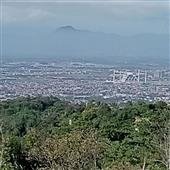 Các độ