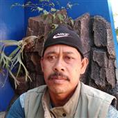 Trong 